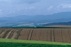FL010005
