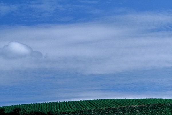 FL010032