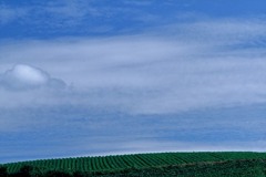 FL010032