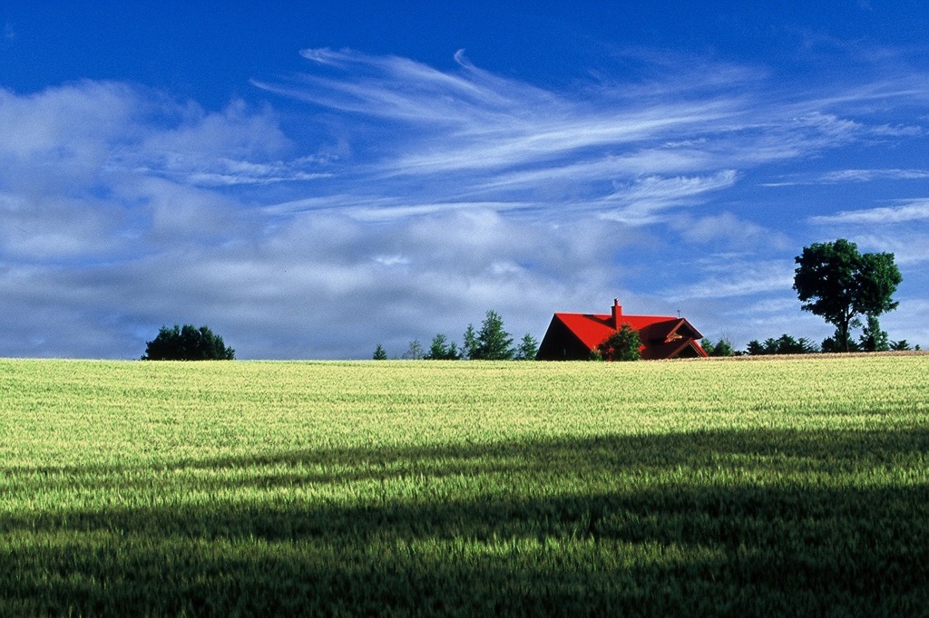 FH020010