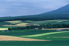 FH020006