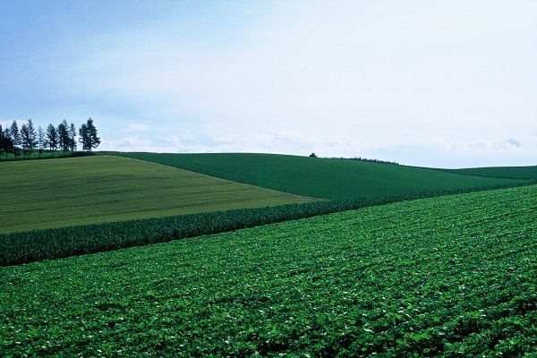 FL010020