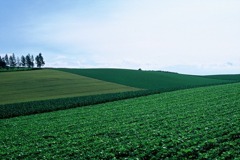 FL010020