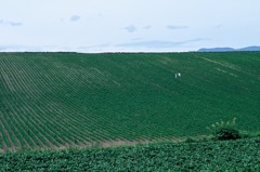 FH020018