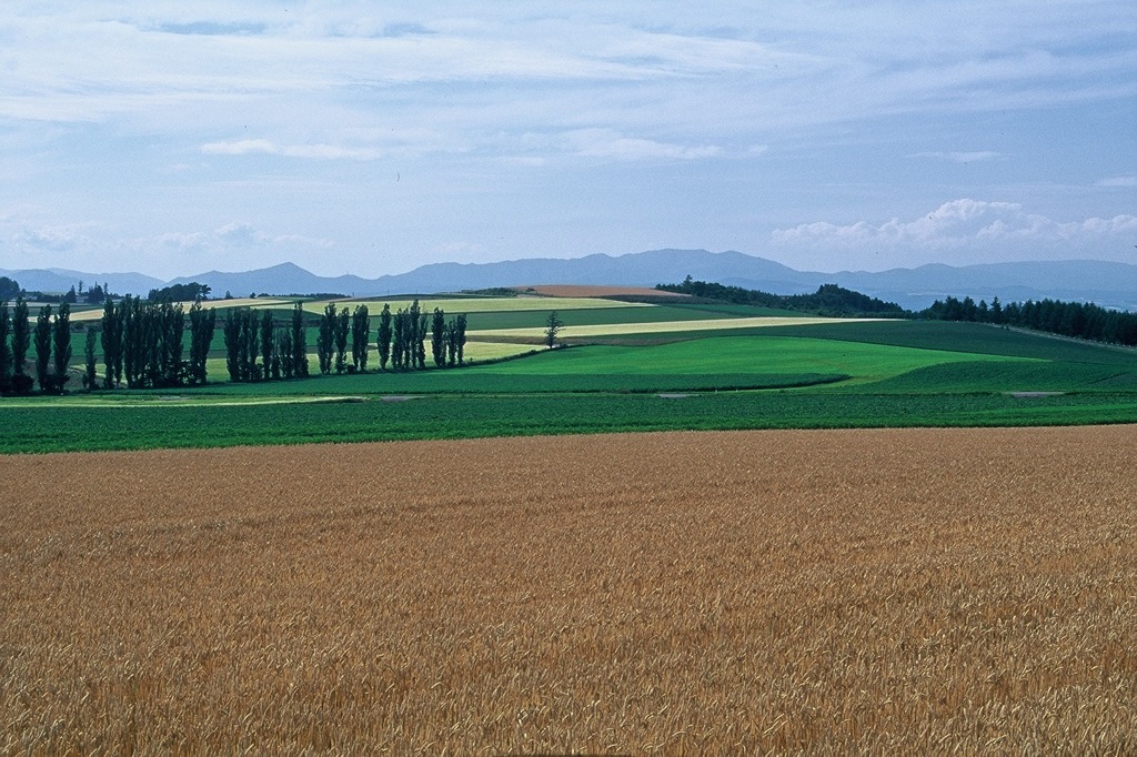 FH020030