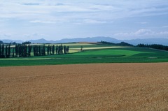 FH020030