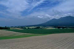 FH020015