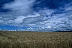 FH020017