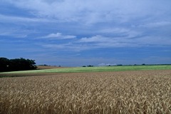 FL010021