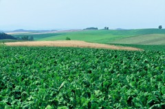 FH020005