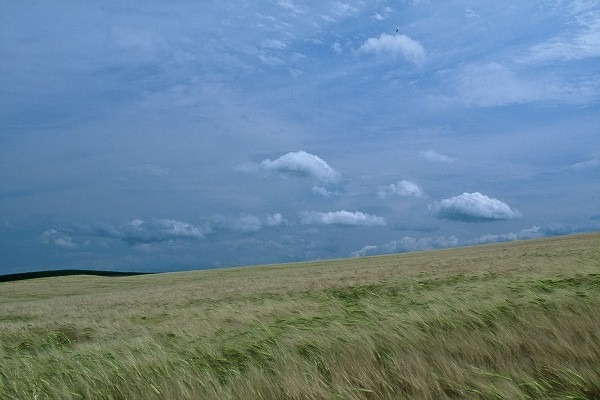 FL010009
