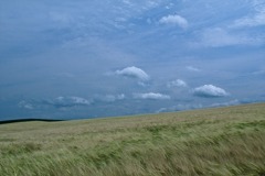 FL010009