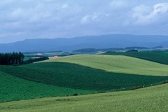 FL010019