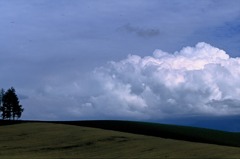 FH020034
