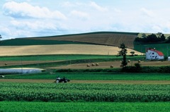 FH020024