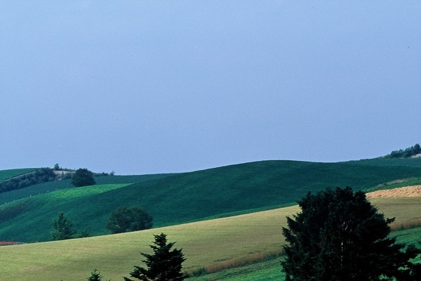 FL010035