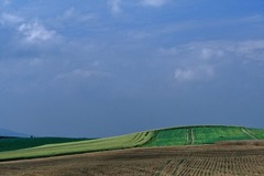 FL010002