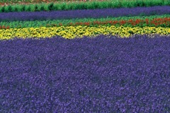 FL010003