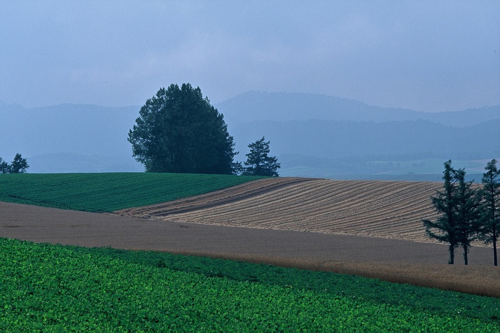 FH020031