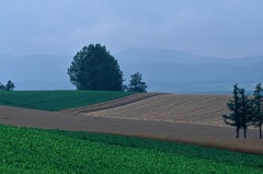 FH020031