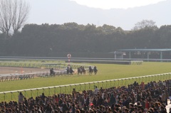 競馬場