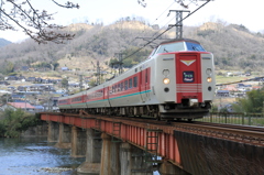 桜は？？？