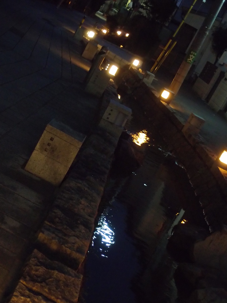 燈る光