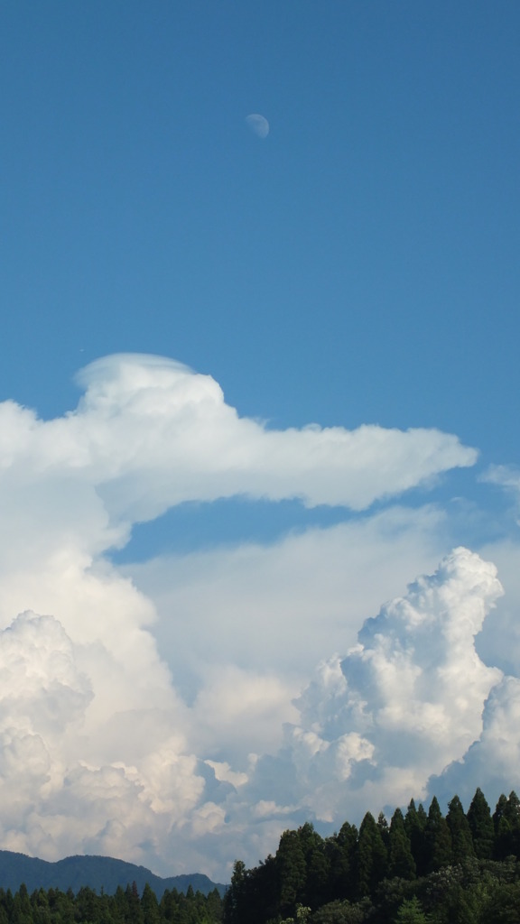 夏雲と月