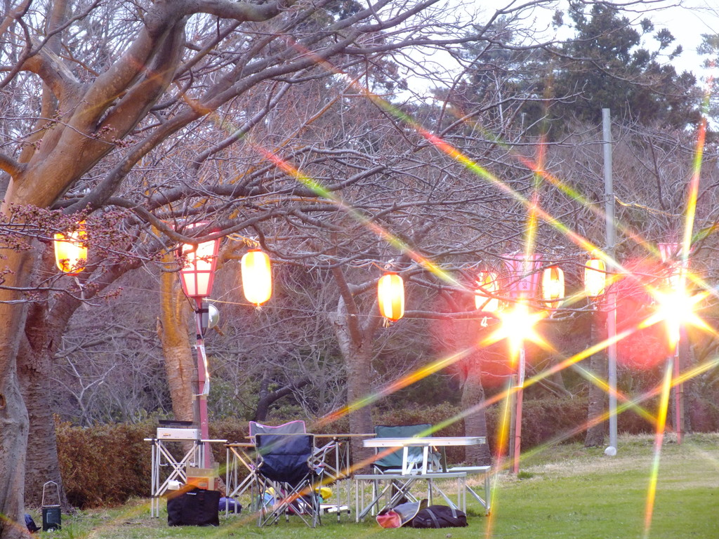 花見で酒が飲めるぞ～♪