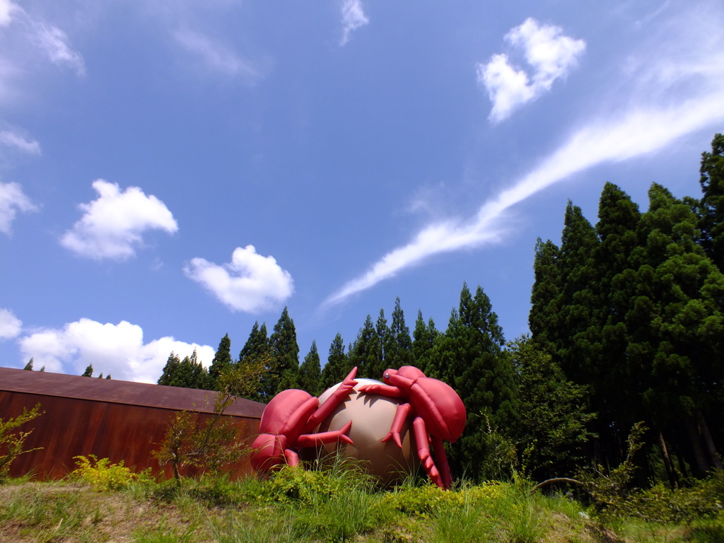 青空の下