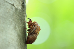 魂の跡