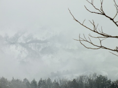 霧の向こう