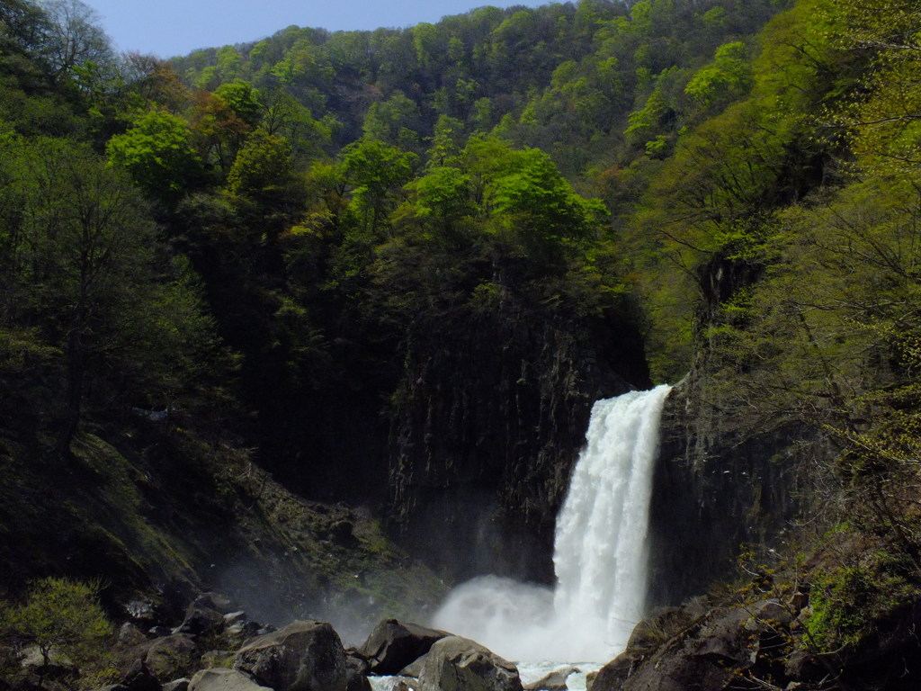 新緑の滝