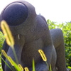 河童は