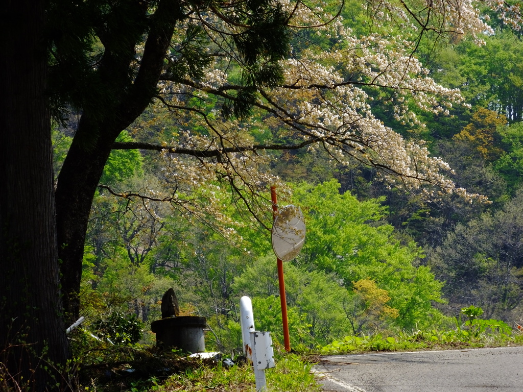 峠道
