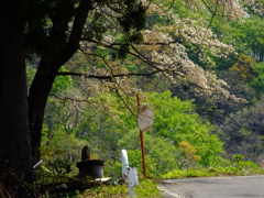 峠道