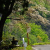 峠道