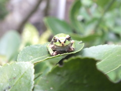 、、、じっ。