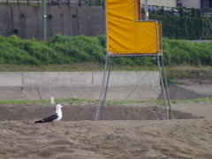 見張り