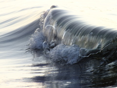 海坊主