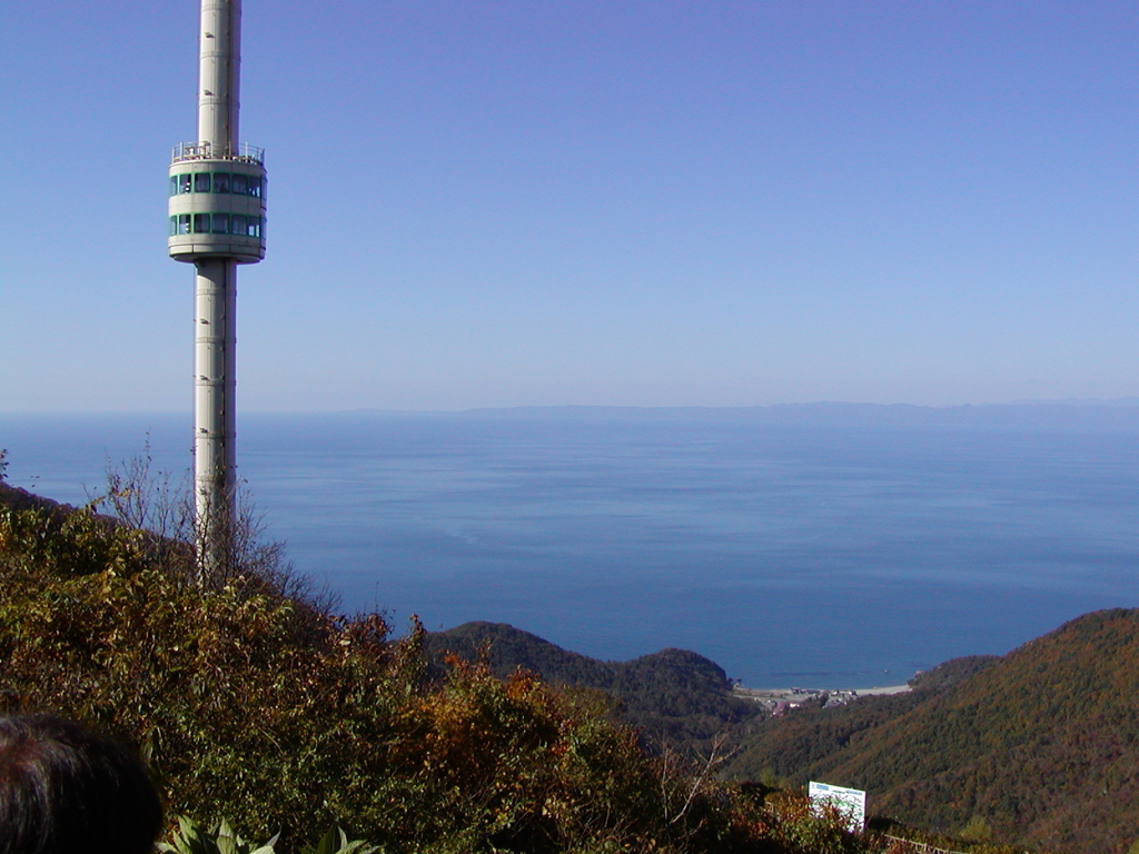 流行にのっかり。