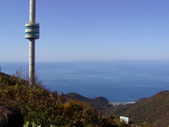 流行にのっかり。