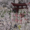 春に包まれて