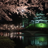 桜夜城