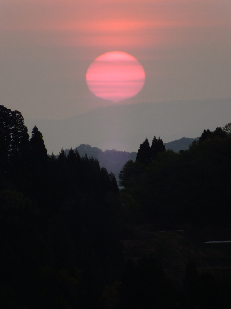 とろける太陽