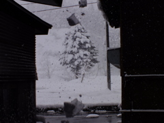 落雪～らくせつ～