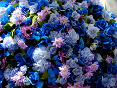 花の星～青～