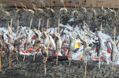 塩焼き