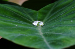 水滴