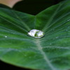水滴